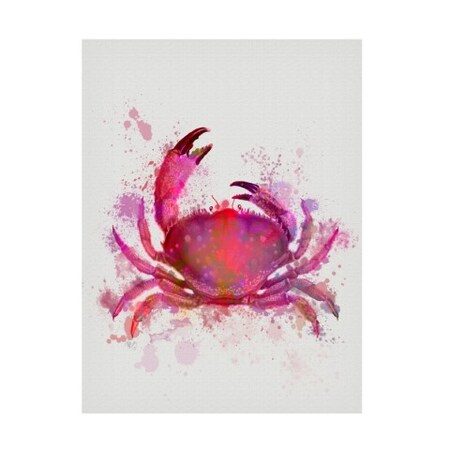 Fab Funky 'Crab 1 Pink Rainbow Splash' Canvas Art,14x19